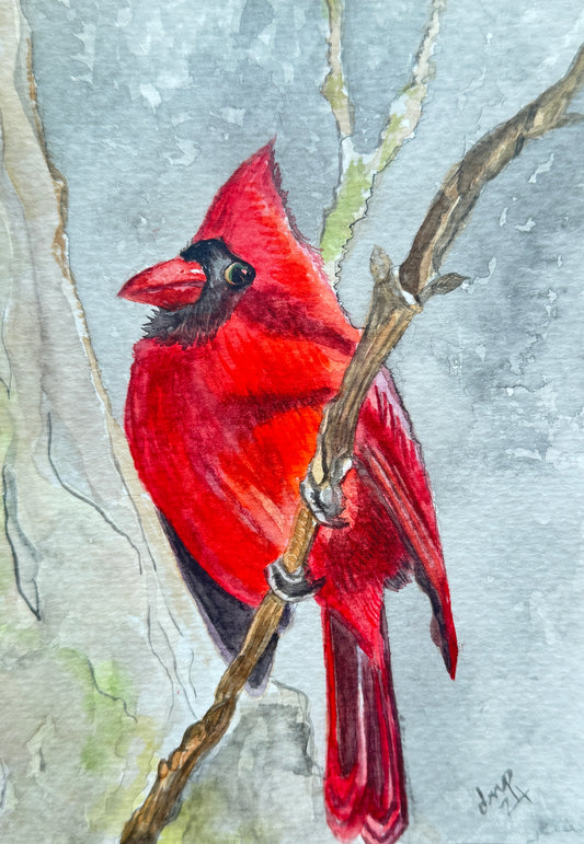 Lonely Cardinal Print
